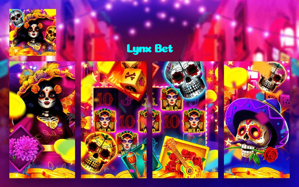 available types of Lynx Bet bet including pre-match live express and system bets